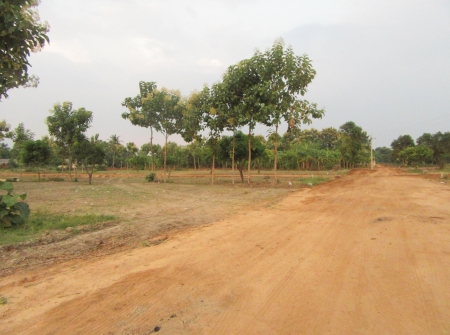 0) Low Budget Plots for Sale in Tirupati.JPG